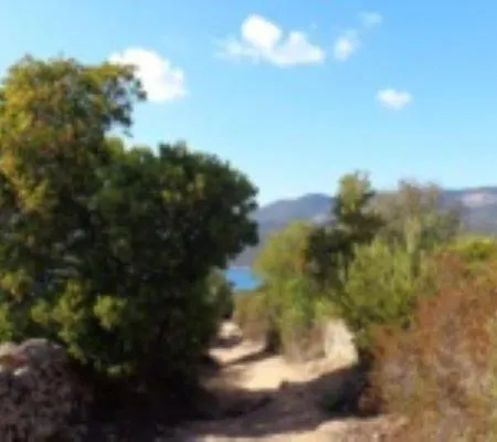 A Casa Di Rosa Apartment Serra-di-Ferro (Corsica)