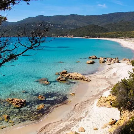 A Casa Di Rosa Apartment