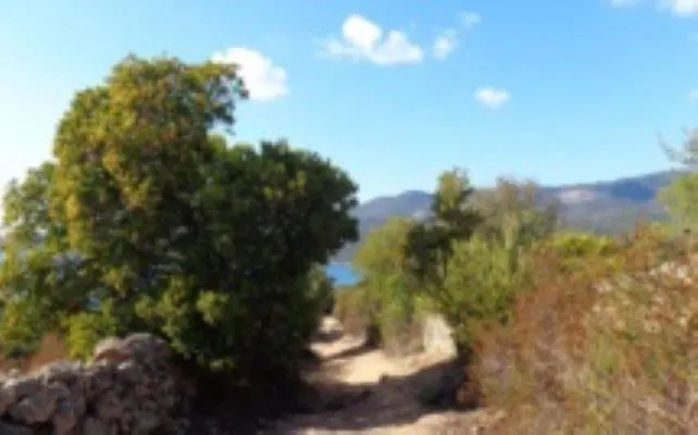 A Casa Di Rosa דירה סרה-די-פרו