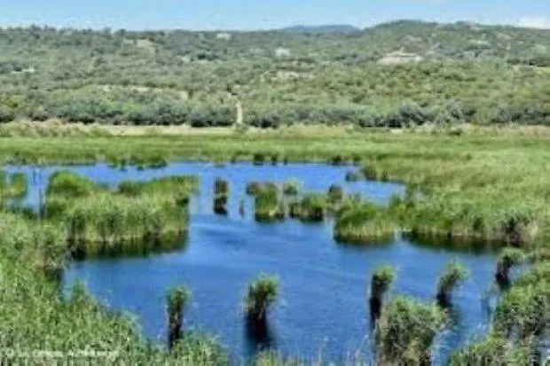 A Casa Di Rosa * סרה-די-פרו